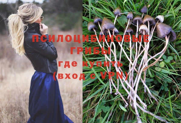 скорость Козловка