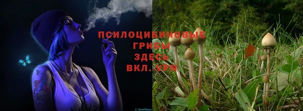 экстази Киреевск