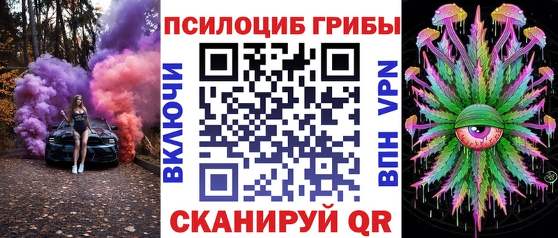 Псилоцибиновые грибы Cubensis  Ярославль 